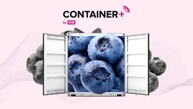 Visibility Built for Your Refrigerated Cargo