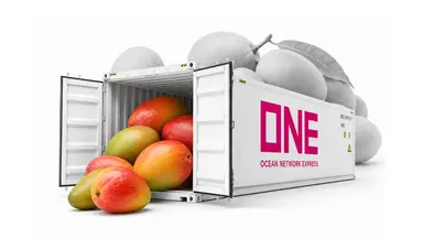 ONE at Expoalimentaria 2026: Connecting Latin American Freshness to the World